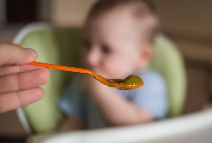 Gerber-Baby-Food-Lawsuit